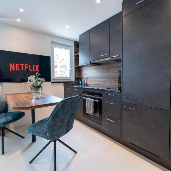 Ästhetische Wohnung, zentral gelegen!、ヴィンタートゥールのホテル