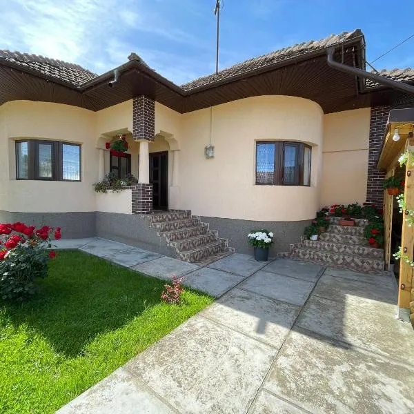 Pensiunea CAV, hotel v destinaci Novaci-Străini