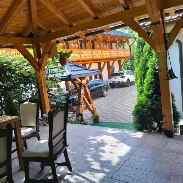 Pensiunea Malinul、Bîrsanaのホテル