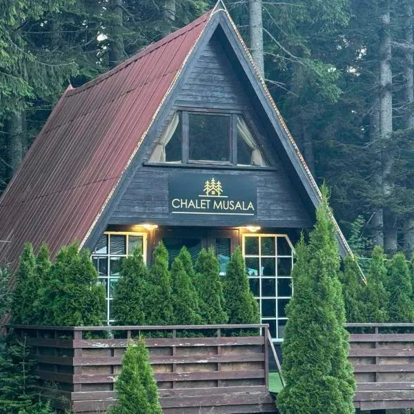 Chalet Musala Borovets by BookVillaBG, hotel in Borovets