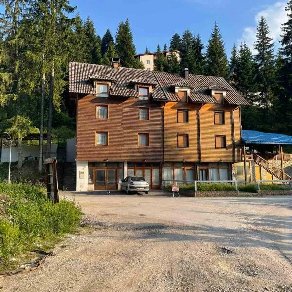 Vila Damir, hotel en Gornja Šišava