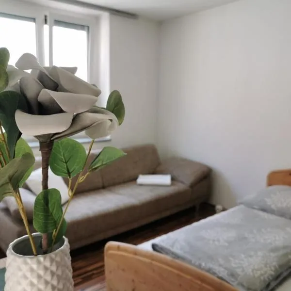 Flataid Apartment Quergasse - beim Bahnhof, hotel ve uŠtýrském Hradci