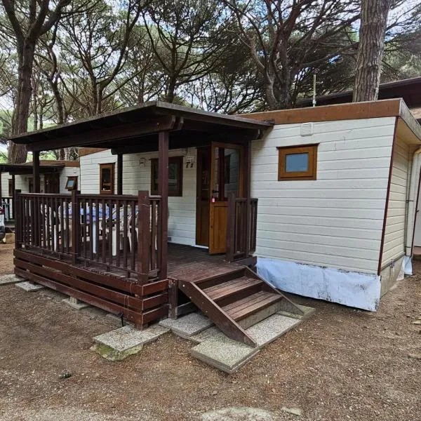 SpiMax mobilház 1, ξενοδοχείο σε Lido di Spina