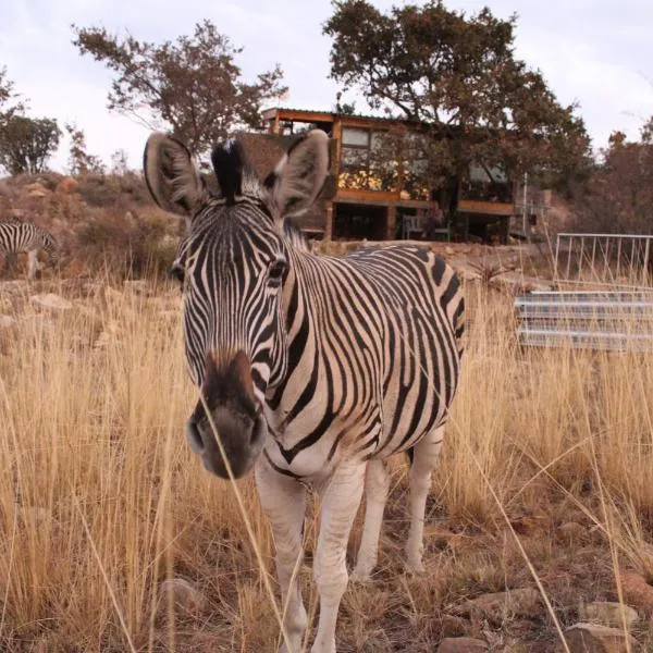 Luxury Treehouse on Bronberg Ridge, hotel v destinaci Tierpoort