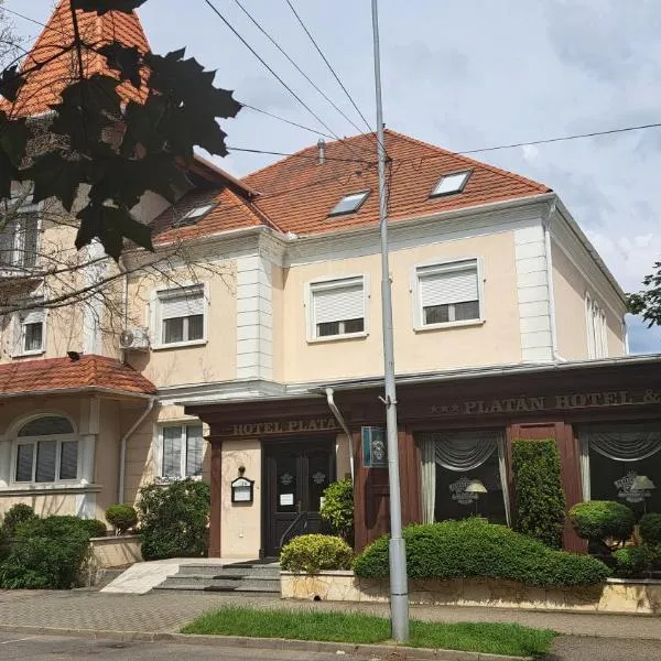 Platán Hotel, hotel in Sárvár
