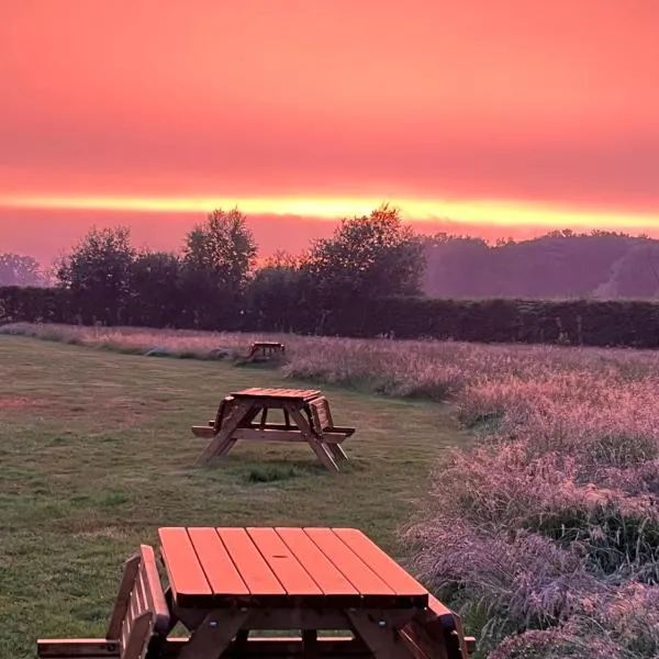 Erve Zonnehoeve Minicamping en Wijngaard, hotel in Vorden