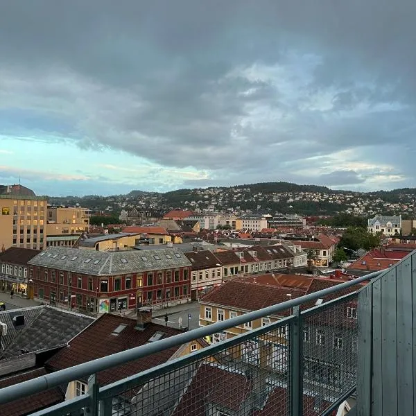 Penthouse in Trondheim City Centre，位于特隆赫姆的酒店