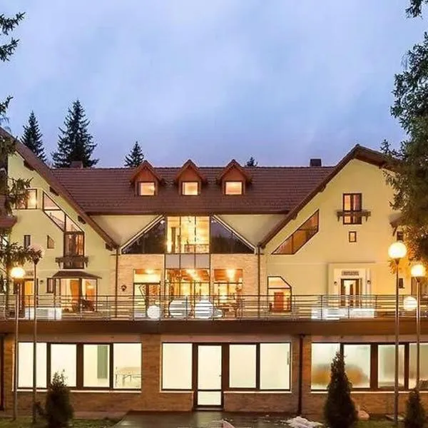 Vila Pinul si Mesteacanul, hotel v destinaci Poiana Brašov