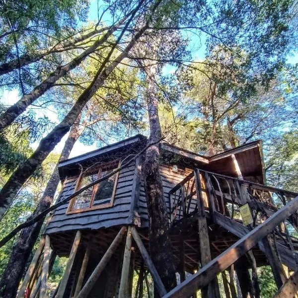 Cabañita del Árbol Cóndor, ξενοδοχείο σε Las Trancas