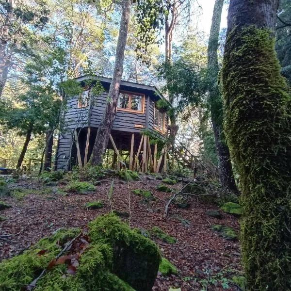 Cabañita del Árbol Cóndor, hotel sa Las Trancas