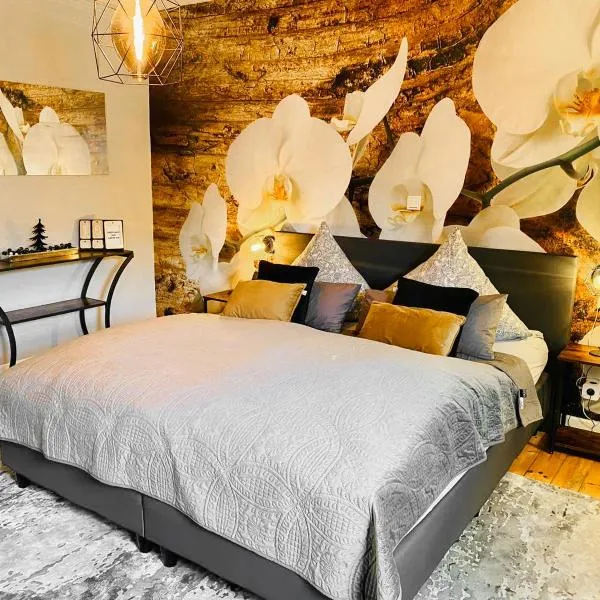 65qm Luxus Apartment mit Whirlpool Saarbrücken Uni Nähe, hotel in Saarbrücken