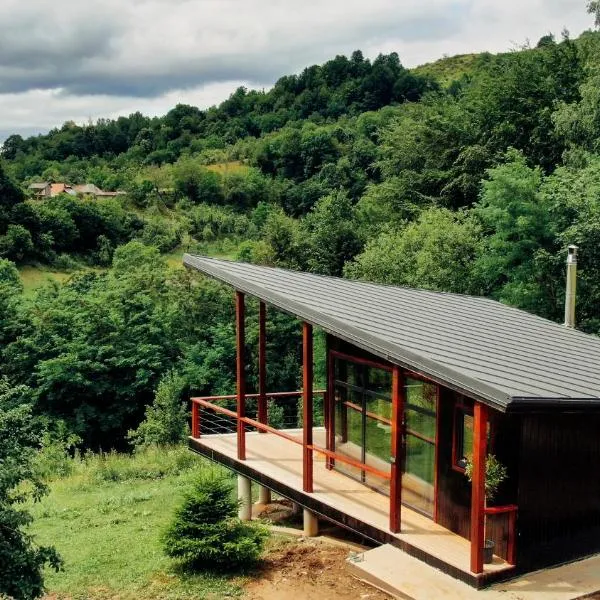 Aries by Zodiac Resort、Valea Boruluiのホテル