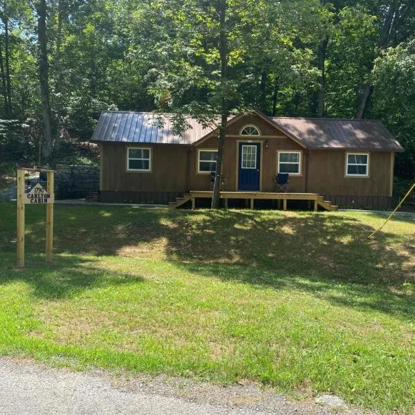 Carlton Cabin at Lake of Egypt 500 Sq Ft, hotel v destinaci Goreville