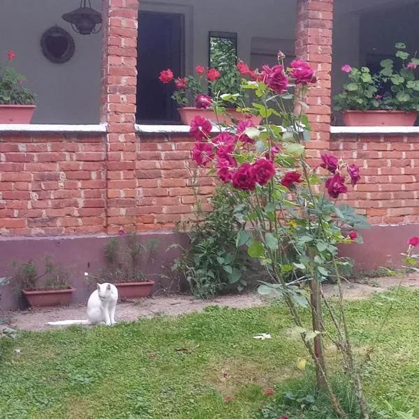 MISU - HÁZA、Kerkakutasのホテル