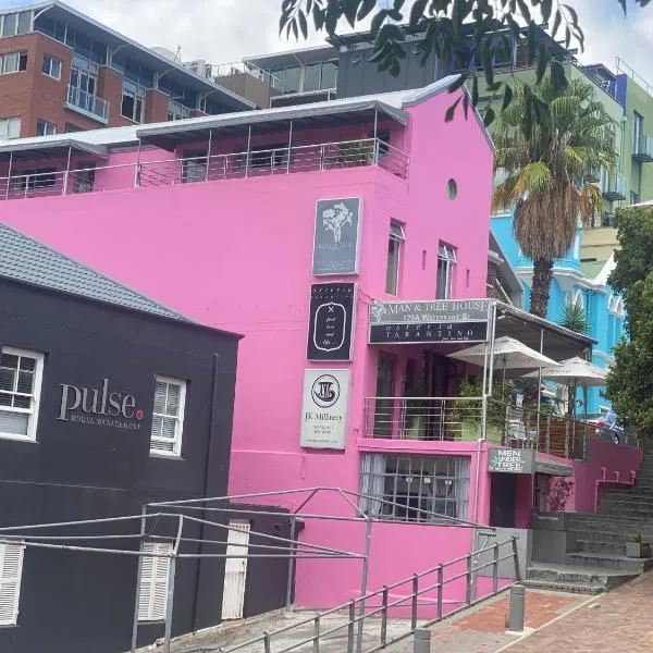 Man And Tree House - De Waterkant, hotel v Kapském Městě