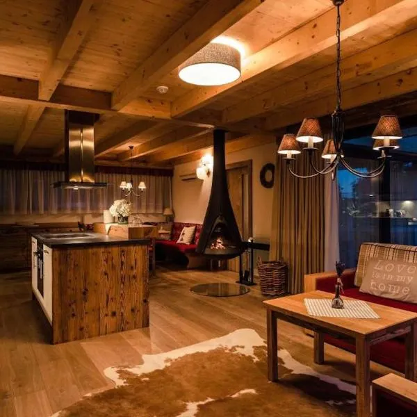 Villa Resort & Organic Spa - pronájem chaletů na Vánoce a silvestra, hotel in České Budějovice