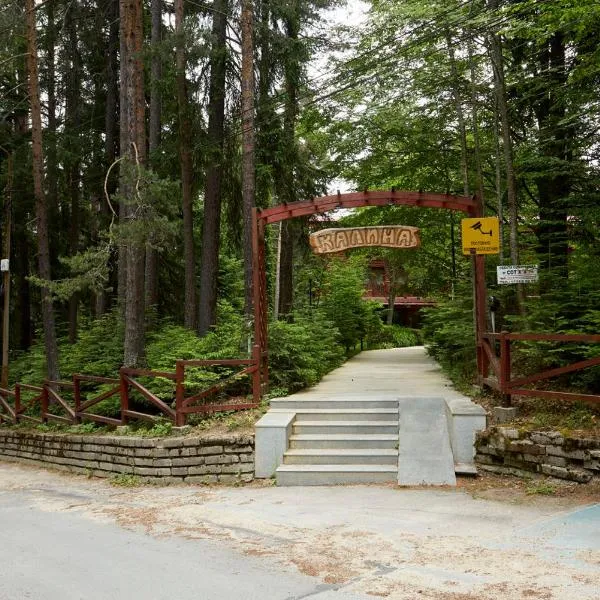Хотел "Калина", hotel in Borovets