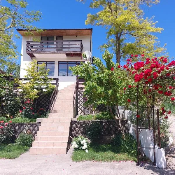 Casa de Vacanta Simfonia Apelor, Hotel in Dunavăţu de Jos