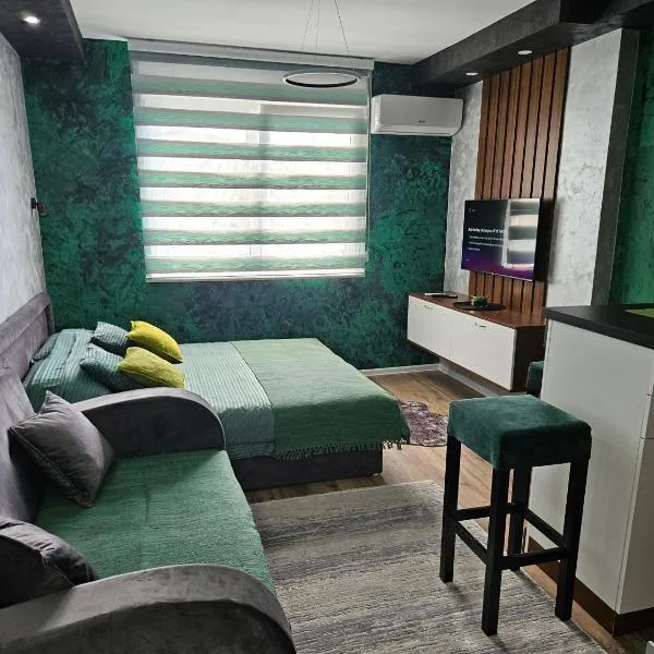 Apartman Aleksandar 2，位于新瓦罗什的酒店