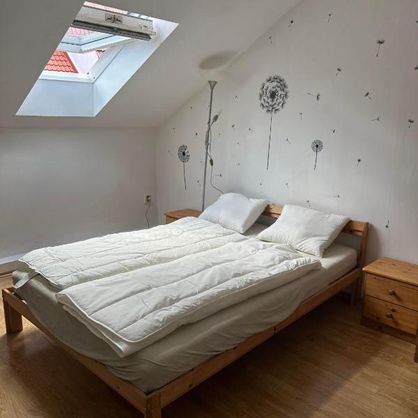 C Private room in city center in Bratislava, Bratislava