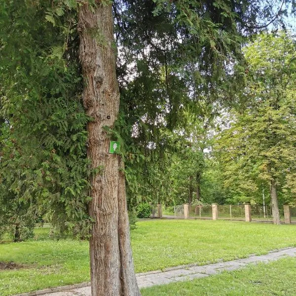 Camper and tent place in Jelgava, hotel in Jelgava