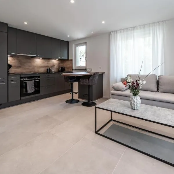 Praktische Wohnung im Kanton Zürich!, hotel v destinaci Winterthur