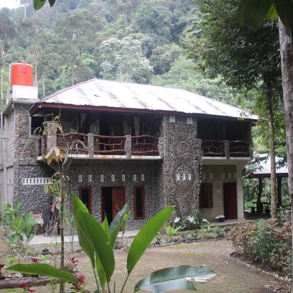 Rinte Green Village & Bukit Lawang Jungle Trekking, hotel v destinaci Bukit Lawang