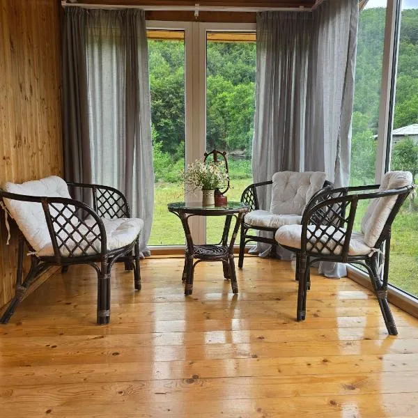 Dariani Cottage，位于Oni的酒店