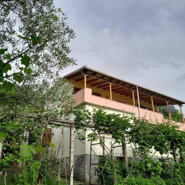 Sara & Mateo Guesthouse, Libohovë