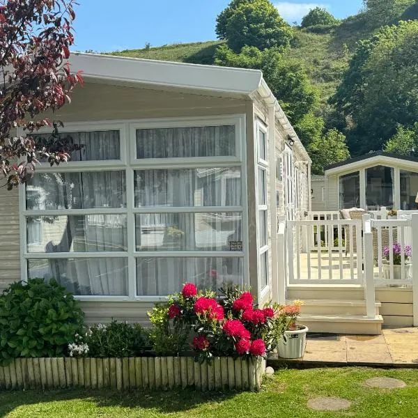 Cardigan Bay Holidays, Hotel in Towyn