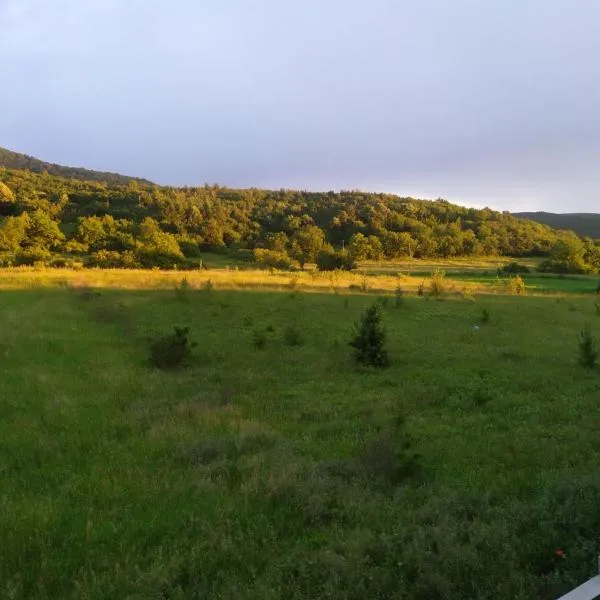 Natura Lux & Parking Free - Green Hill, blizu Akva parka, hotel v destinaci Soko Banja