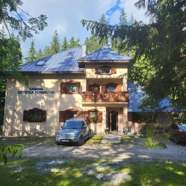 Cabana Cetatile Ponorului - Padis Premium Lodge, hotel in Padis