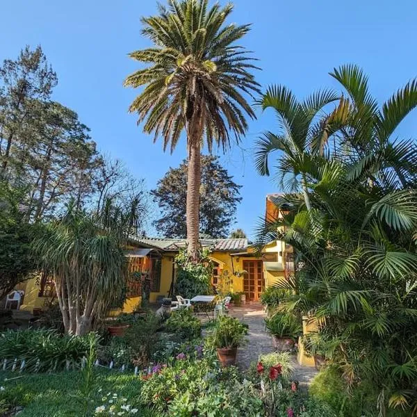 Chalet La Llovizna - Lush hidden paradise in Panajachel, hotel en Panajachel