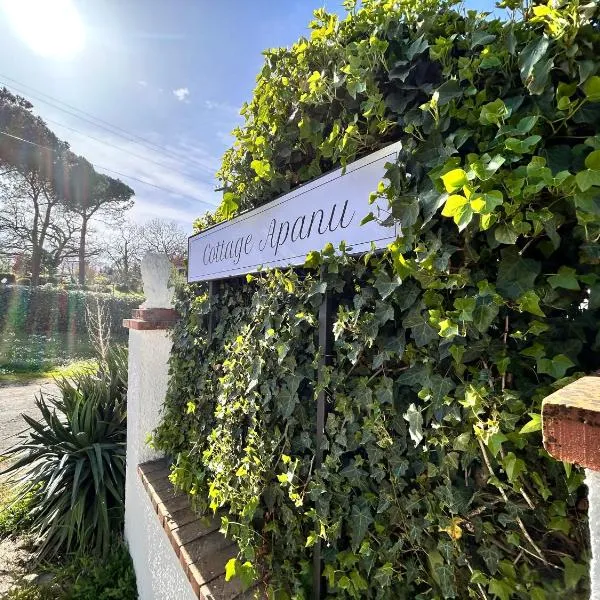 Cottage Apanu，位于维泰博的酒店