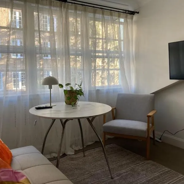 Sunny Loft Studio，位于悉尼的酒店