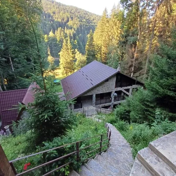 Cabana Zimbru Transfagarasan, hotell sihtkohas Arefu