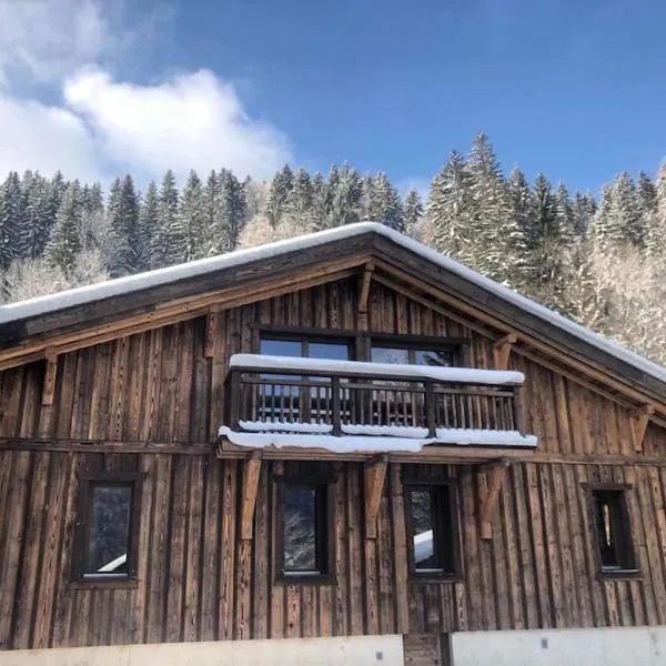 Fabulous location, Multipass provider, hotel en Morzine