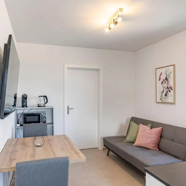 Rothorn Studio - Aare Jungfrau AG, hotel en Spiez