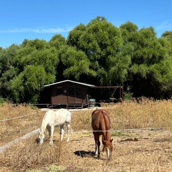 Cabaña rústica en un rancho con caballos, Prado del Rey, Andalucía, Hotel in Prado del Rey