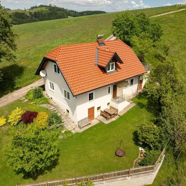 Ferienhaus Nuova Via, hotel in Griffen