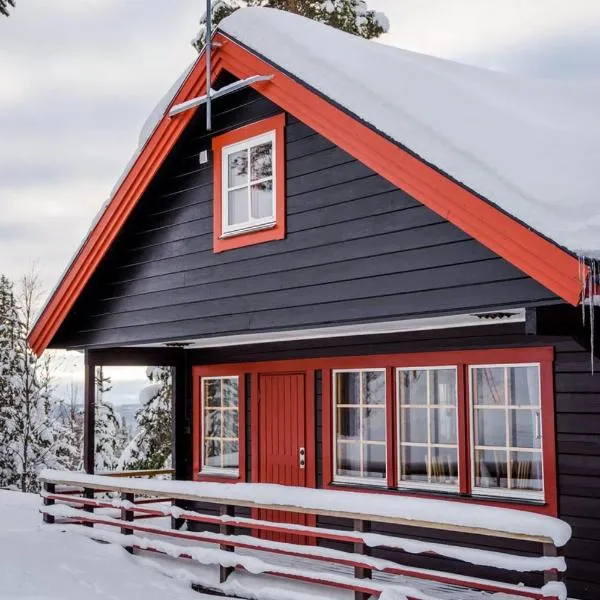 Linnéan 2, hotel a Lofsdalen