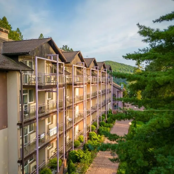 Hotel Solina Resort & Spa, hotel in Solina