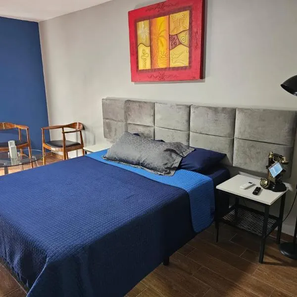 Loft Barrio Vergel，位于蒙特雷的酒店