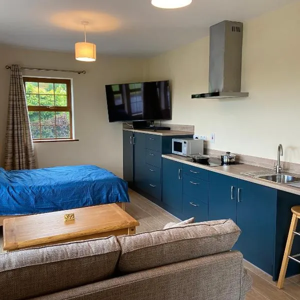 Twin Lakes Studio Apt, Hotel in Carrickmacross