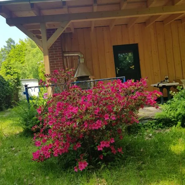 Waldbadhäusel Naturbad-Bungalow, Hotel in Neuwiese