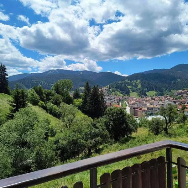 Апартамент за гости Александър, hotel in Chepelare