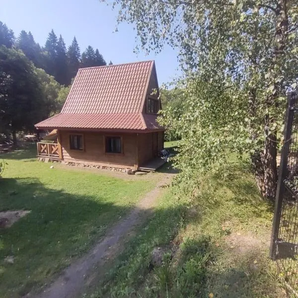 Domek MAGELLAN BIS Cisna 11, hotell sihtkohas Cisna