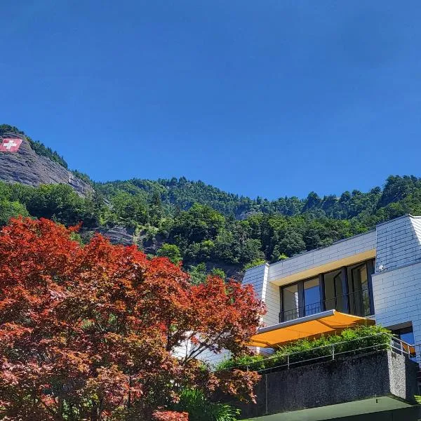 Rigi Paradise in Vitznau, Lake access, Ferry Terminal, Rigibahn, Restaurants all 2 minutes walking distance, hotel in Vitznau