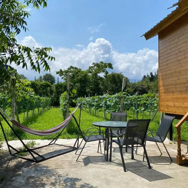 Orion Palace, hótel í Batumi