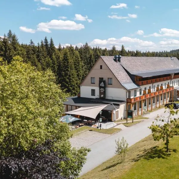Waldhotel Vogtland, hotel in Klingenthal